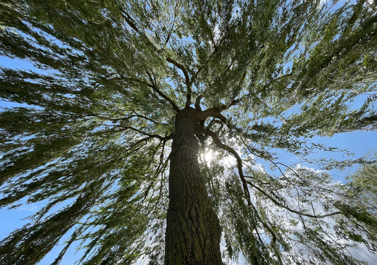 Klangraum3 web
